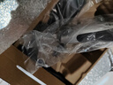 松下（Panasonic）剃须刀电动往复式男士刮胡刀全身水洗双刀头 生日礼物送男友送老公节日礼物RW30 实拍图