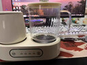 米栗熊全玻璃养生壶煮茶器炖煮一体煮茶烧水壶双炉组合式花茶电煮杯迷你办公室一人用全自动恒温壶教师节 智能双炉【炖煮+保温】- 0.8L 送男女生老师闺蜜实用高端礼品伴手礼物 实拍图