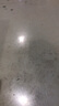 西昊 M76A电脑椅家用办公椅子学习椅宿舍椅人体工学椅学生电竞椅 M76 实拍图