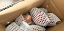 京鲜生 山东 白蜜红薯 白哈蜜 蜜薯 5斤 新鲜蔬菜 实拍图
