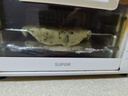 苏泊尔（SUPOR） 电烤箱家用小型双层小烤箱10L迷你多功能烘焙烤面包蛋糕红薯机 【升级M型加热管】烘烤均匀上色 10L 实拍图