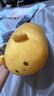 名创优品（MINISO）小猪B-BO弹力超柔趴姿毛绒公仔玩偶抱枕玩具娃娃女友生日礼物女 实拍图