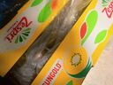 佳沛（zespri）新西兰  阳光金奇异果25-27粒原箱特大果单果约122-146g  猕猴桃 实拍图