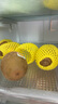 佳沛（zespri）新西兰  阳光金奇异果6粒装 单果约77-103g  源头直发  猕猴桃 实拍图