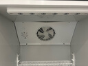 澳柯玛 316升商用冷藏保鲜展示柜超市饮料啤酒冰箱冷柜风冷立式单门陈列冰柜 一级能效合金内胆 SC-316NE 实拍图