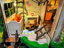 我の屋新品diy小屋童话森林手工制作木质拼搭房子玩具模型男生日礼物女 实拍图