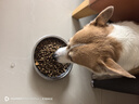 麦富迪狗粮 藻趣儿肉松海苔狗粮幼犬粮呵护免疫 10kg/20斤 实拍图