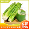 京鲜生山东新鲜大西芹净重4.5斤榨汁现挖芹菜鲜嫩蔬菜 去半叶源头直发 实拍图