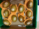 佳沛（zespri）新西兰  阳光金奇异果10粒礼盒巨大果单果约144-175g 水果 猕猴桃 实拍图