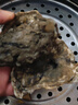 龙味福乳山生蚝鲜活到家牡蛎新鲜海蛎子火锅烧烤海鲜刺身 【不大-慎选】3XL带箱5斤(15-18只) 实拍图