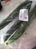 长黄瓜约600g 实拍图