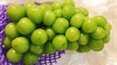 京营觅选阳光玫瑰葡萄晴王香印提子 当季新鲜时令新鲜水果中秋水果 净重2.5斤单粒9-15g 山西阳光玫瑰葡萄 实拍图