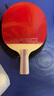 红双喜乒乓球拍四星狂飚专业级4星学生儿童初学者3星直横拍兵乓球拍单拍 H3星级短柄直拍单只+6只球+拍套 实拍图