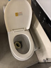 松鲸 卫浴家用马桶坐便器大冲力超漩虹吸式静音连体座便器小户型马桶 直冲型【大冲力】+轻音盖板 实拍图