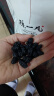陈一凡桑葚干精选大果500g 新疆黑桑椹果干 干吃即食泡水喝的花草茶袋装 实拍图
