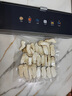 美的（Midea）真空封口机 家用全自动真空封口机 食品塑封机干湿两用大吸力真空包装打包机 严密封系列 MJ-KF23 实拍图