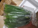 新鲜水果秋葵蔬菜新鲜现摘现发当季蔬菜生鲜凉拌好物减肥瘦身 现摘水果秋葵 2斤 实拍图