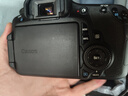 佳能/CANON  80D 60D 70D 77D 50D 90D 半画幅 二手单反相机 佳能60D 18-55 防抖套机 99新 实拍图