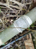 雨虹防水水不漏 速干水泥 堵漏宝快速堵漏 地漏安装 管根堵漏 2KG 实拍图