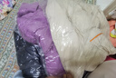 京东洗衣服务衣鞋任洗6件上门取送 干洗服务水洗去渍熨烫杀菌 实拍图