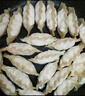 必品阁（bibigo）韩式泡菜水饺 1200g 约48只 早餐夜宵 生鲜速食饺子 速冻食品 实拍图