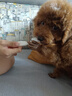 嬉皮狗 泰迪专用狗狗沐浴露宠物香波浴液成幼犬通用除味洗澡液 500ml 实拍图