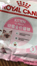 皇家宠物猫粮 幼猫猫粮K36-适用于12月龄50g*3 实拍图