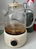 OIDIRE 德国OIDIRE 全玻璃养生壶花茶壶无胶水煮茶壶煮茶器办公室花茶养生壶烧水壶电热水壶炖煮智能保温 1L ODI-HC01花茶养生壶【不带滤网】 实拍图
