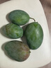京鲜生 攀枝花凯特芒果 净重4.5斤 带箱5斤 单果400g+ 生鲜水果源头直发 实拍图
