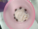 萌宠之星零乳糖羊奶粉猫羊奶粉400g/罐狗羊奶粉0乳糖犬猫全阶段羊奶粉 实拍图