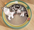 疯狂的主人 猫抓板窝超大号圆形不掉屑耐磨一体猫窝磨爪猫咪玩具 实拍图