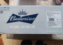 百威冰啤酒500ml*18听整箱装【99%好评】  实拍图