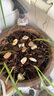 德沃多肥料兰花专用营养土10L3号园艺种植基质土花土肥料盆栽种植土壤花盆土 实拍图