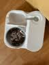 憨憨宠宠物自动喂食器一体式猫咪饮水机猫碗狗碗狗食盆储粮桶喝水用品 绿色一体式喂食喂水器+不锈钢碗 实拍图