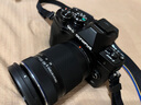 奥林巴斯（OLYMPUS）E-M10 MarkIV EM10四代 微单相机 数码相机 微单套机（14-42mm & 40-150mm）黑 实拍图