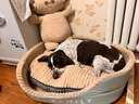 华元宠具（hoopet）狗窝四季通用狗狗床中大型犬睡觉可拆洗宠物睡垫子秋冬季保暖猫窝 实拍图