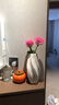 范爷家北欧陶瓷花瓶高级感干花水培鲜花客厅桌面摆件ins风插花器 实拍图