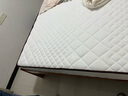海马飞雪床垫席梦思天然椰棕乳胶独立弹簧床垫酒店厚薄双人家用榻榻米垫子 15cm豪华款(乳胶+椰棕+独立弹簧) 1.5x1.9米 实拍图