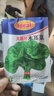 木耳菜种子厚肉大叶落葵籽豆腐菜阳台四季盆栽抗病高产蔬菜菜 大叶木耳菜种子 1包约120粒 实拍图