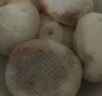头厨 老面小笼包1.5kg约60个纯手工包制 嵊州风味鲜肉包子早餐半成品 实拍图