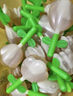 周十五益生菌蜂蜜露孕妇开塞蜜露待产包用产后哺乳期儿童蜂蜜栓礼品36支 实拍图