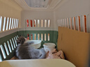 腆宠  宠物航空箱大号 猫咪航空箱猫狗 猫包猫笼外出车载猫箱狗狗托运 实拍图
