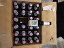 SINGHA泰国原装进口啤酒 全麦芽淡色拉格精酿330ml*24瓶 年货礼盒 实拍图