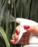 稀释喷瓶喷雾瓶500ml稀释瓶空瓶分装带刻度配比瓶小喷瓶喷壶 粉色1个500ml（带刻度） 实拍图