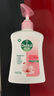 滴露（Dettol）洗手液滋润250g 儿童洗手液抑菌消毒宝宝 水润补充装尝鲜 实拍图