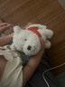 babycare西高地飞行员限定礼盒儿童动物毛绒玩偶仿真玩具狗节日生日礼物 实拍图