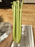 京鲜生山东新鲜大西芹净重4.5斤榨汁现挖芹菜鲜嫩蔬菜 去半叶源头直发 实拍图