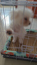 贝初众狗笼小中大型犬狗笼子猫笼带厕所加粗折叠宠物笼子柯基笼幼犬狗笼 白色加粗狗笼62*43*53【15斤内】 白色带厕所托盘 清洁方便 无毛边无倒刺不卡脚 实拍图