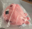 名创优品（MINISO）我的世界系列12号Q版公仔Pig猪 毛绒玩偶抱枕玩具 实拍图