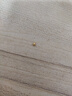 御邪黄金转运珠足金999路路通光面金珠串珠吊坠隔珠520礼物 3毫米特供/单颗（预订） 实拍图